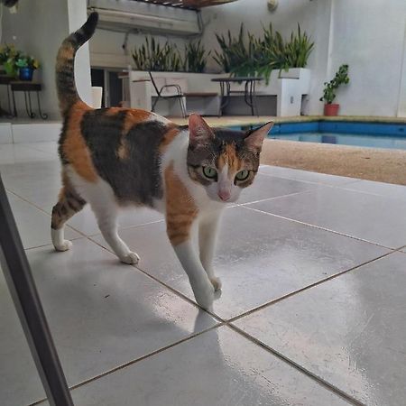 Casssa Vlanca Hotel Palenque Kültér fotó